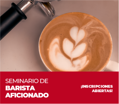 SEMINARIO DE BARISTA AFICIONADO