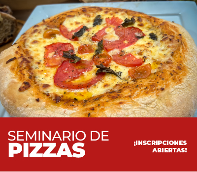 SEMINARIO DE PIZZAS